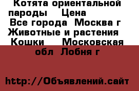 Котята ориентальной пароды  › Цена ­ 12 000 - Все города, Москва г. Животные и растения » Кошки   . Московская обл.,Лобня г.